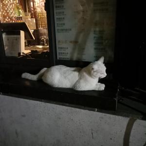 我要看三级片怎么改逼里冒精子
