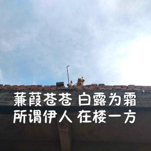 黑人大鷄巴一級黃大雞巴动漫
